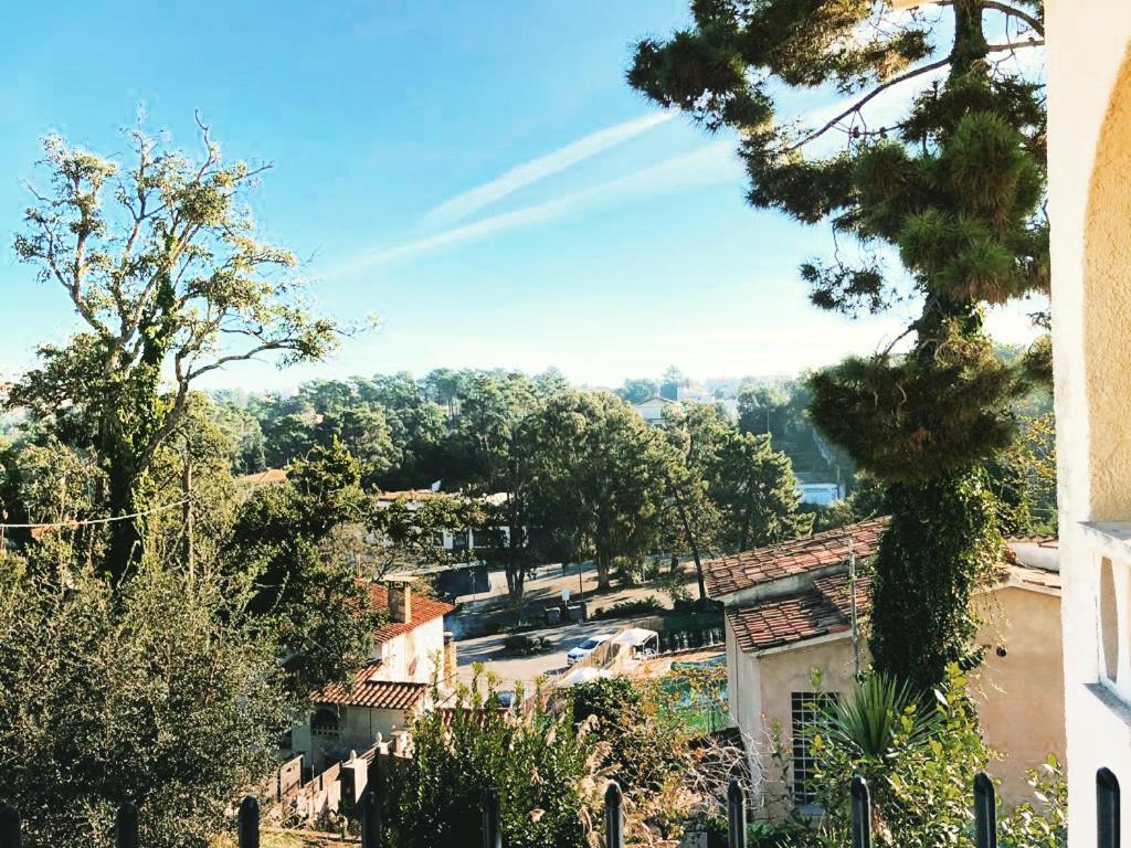 Villa Mas Blau Lloret de Mar Eksteriør billede