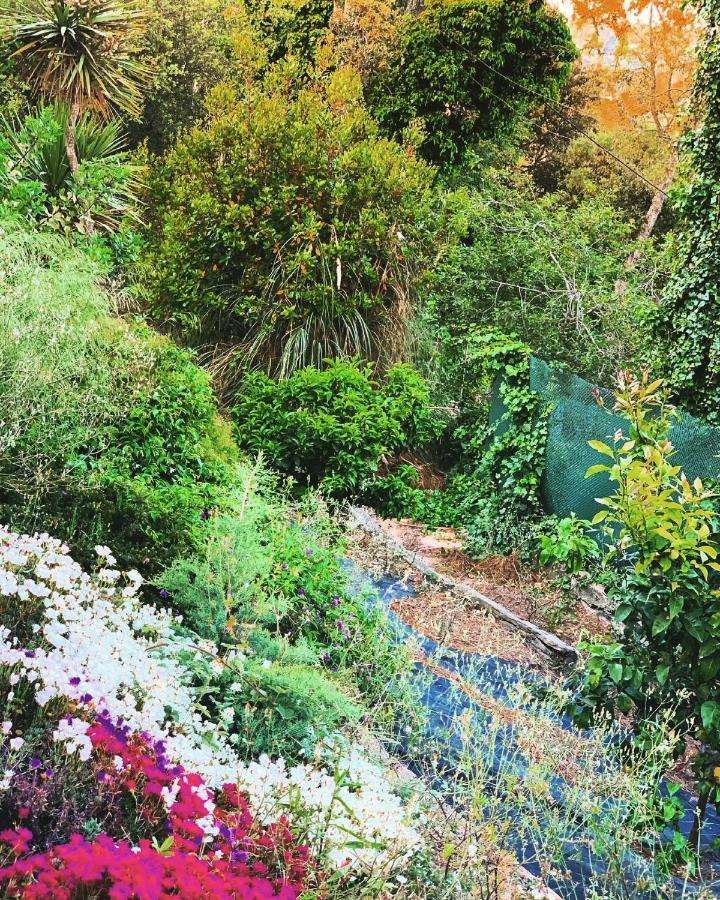 Villa Mas Blau Lloret de Mar Eksteriør billede